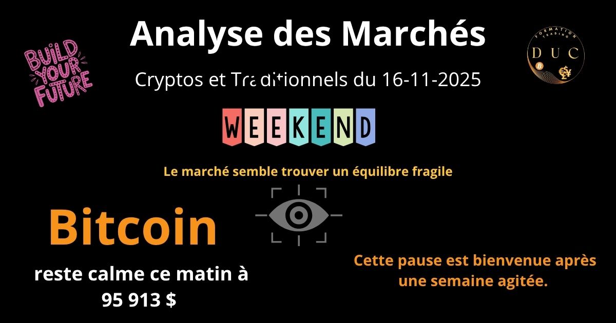 Analyse des Marchés : Cryptos et Traditionnels du 16-11-2025